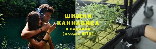 сатива Алексин