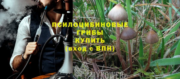 ALPHA-PVP Армянск