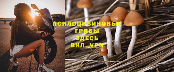амф Аркадак