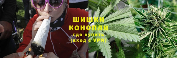 сатива Алексин