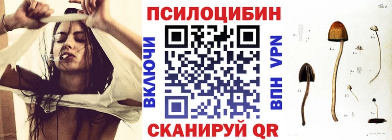 Псилоцибиновые грибы Psilocybe  Ак-Довурак 